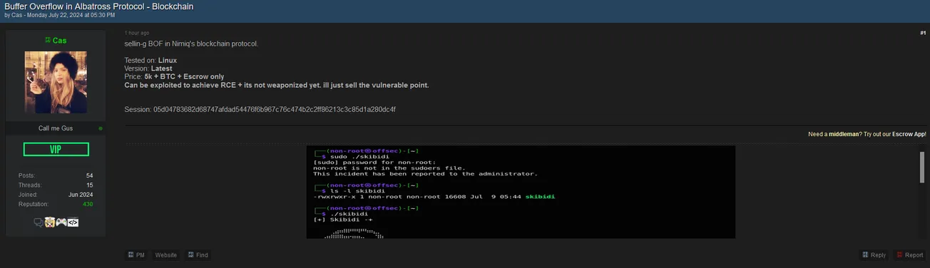 Threat actor, Cas, is allegedly selling a Buffer Overflow in Albatross Protocol - Blockchain