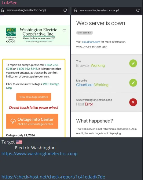 LulzSec targeted the website of Washington Electric Coop