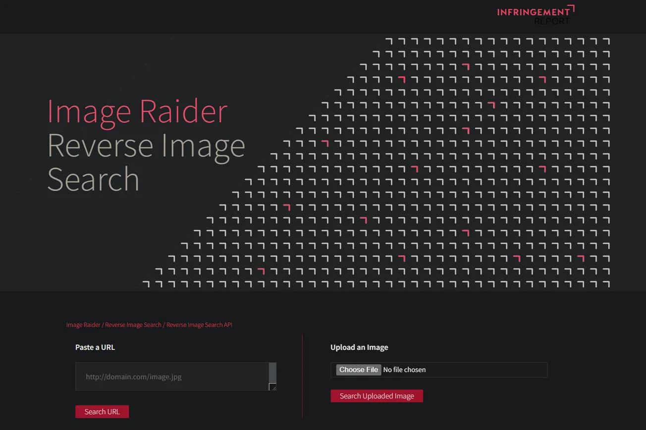 Image Raider - A reverse image search tool for completing individual searches