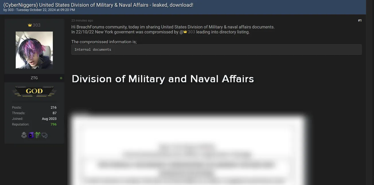 303 Allegedly Leaked Data of Division of Military & Naval Affairs of USA