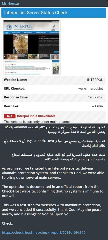 Mr Hamza Targeted the Website of Interpol