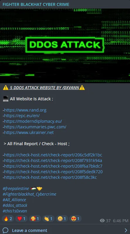 FIGHTER BLACKHAT CYBER CRIME Targeted Multiple Websites