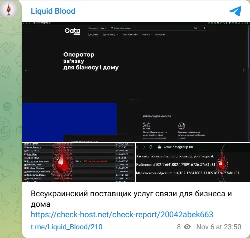 Liquid Blood Targeted the Website of Datagroup