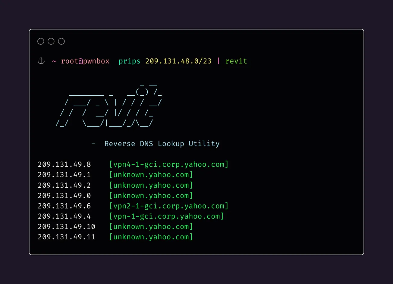 Revit: A Command-line Utility For Performing Reverse DNS Lookups