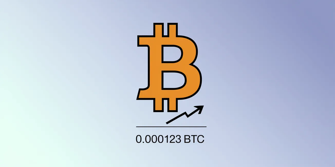 Bitcoin (BTC) Balance Checker