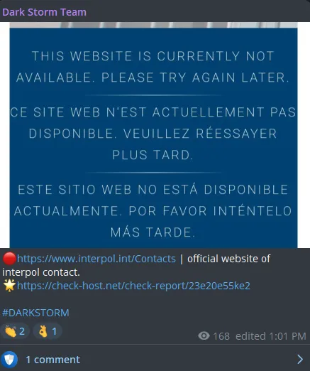 Dark Storm Team Targeted the Website of INTERPOL